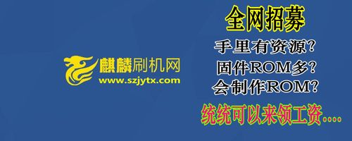 麒麟刷机网免费下载rom办法