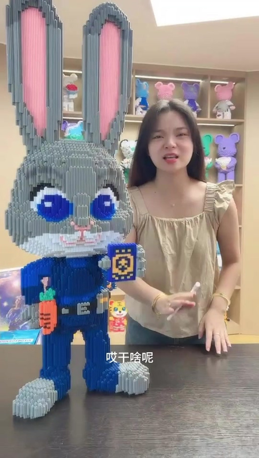 小马当当积木拼装视频图标