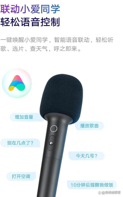 电动麦克风品牌排行榜前十名缩略图
