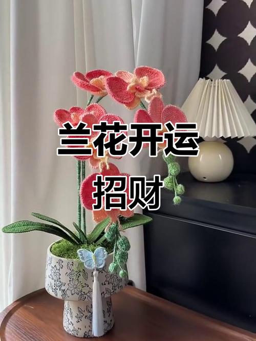 兰花放哪里最旺财图标