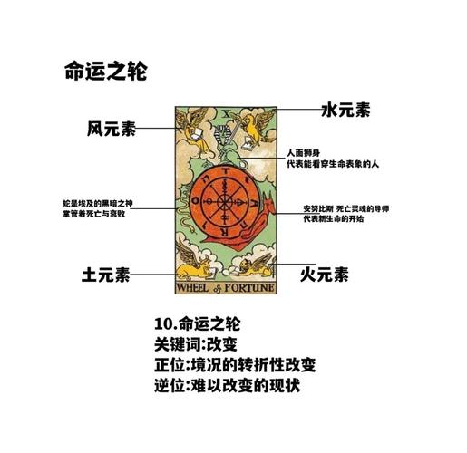 命运会推着你,走向你该走的路