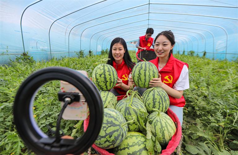 西瓜平台直播缩略图