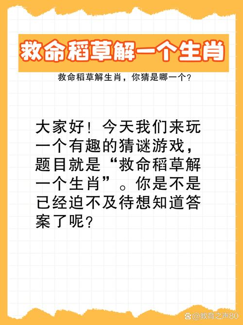 稻草人代表什么生肖