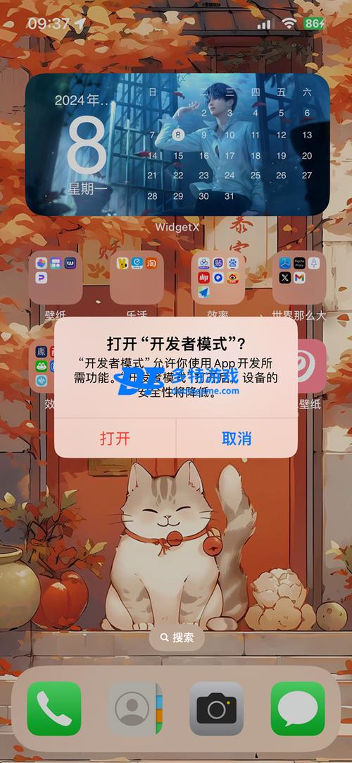 开发者模式会泄露隐私吗缩略图
