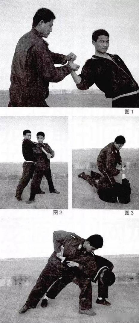 一什么二什么三擒拿缩略图