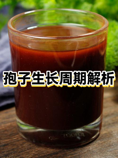 孢子生物阶段秘籍