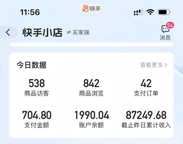 快手查消费总额在哪