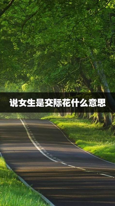 社交花是什么意思游戏截图