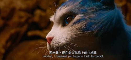 电影喵星完整版免费图标