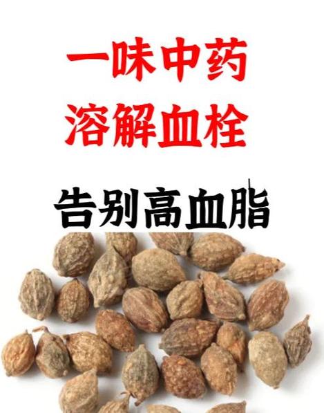 降血脂吃什么最好最降得快图标