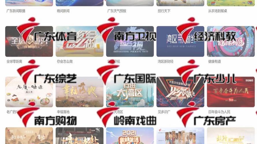 荔枝网广东广播电视台游戏截图