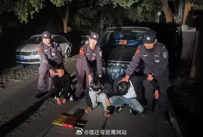 《警察抓小偷》全集缩略图