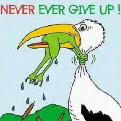 nevereverevergiveup翻译及原文游戏截图