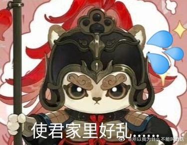 给猫咪拍视频用哪个软件图标
