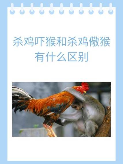 杀鸡时鸡会害怕吗缩略图