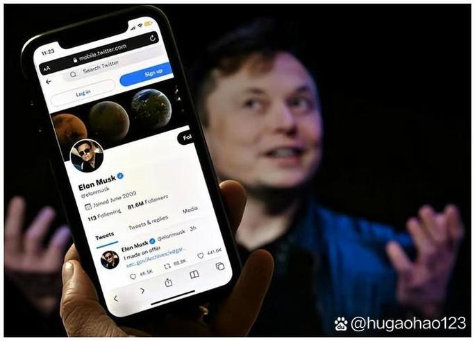 推特用户搜索无结果