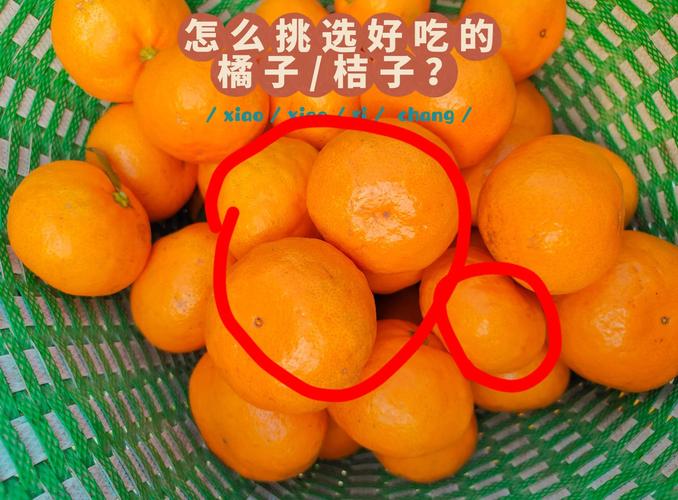 小桔试玩靠谱吗缩略图