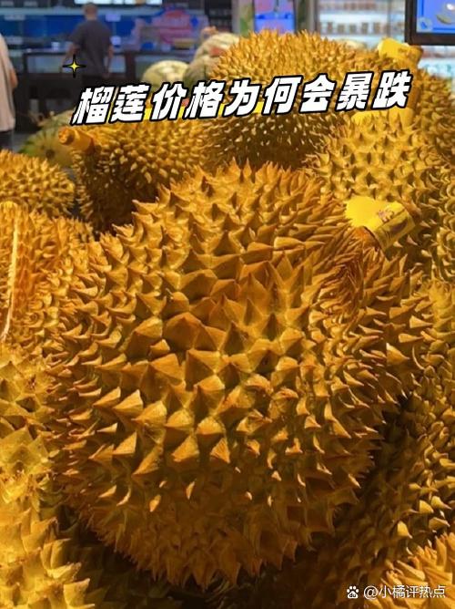 榴莲最贵三个品种缩略图