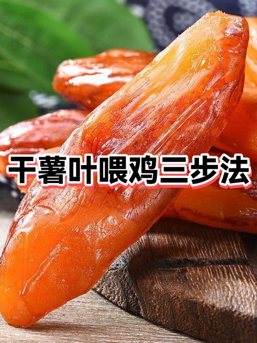 喂鸡的方法与技巧图标