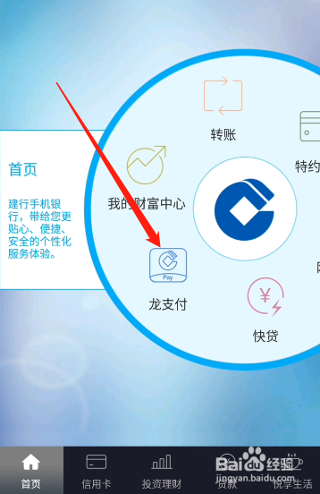 龙支付有必要开通吗游戏截图