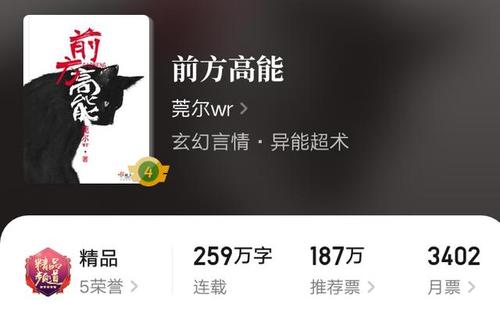 前方高能 莞尔wr 小说