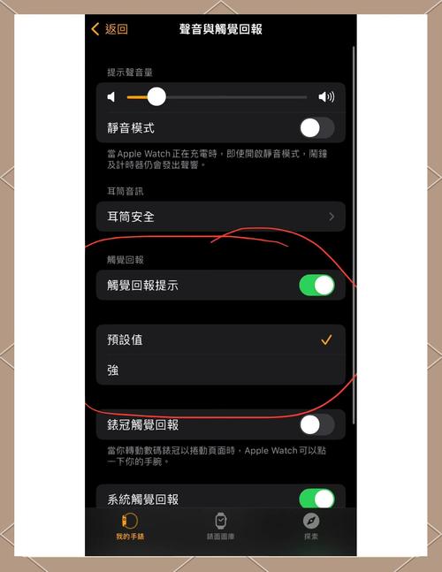 applewatch来电不震动图标