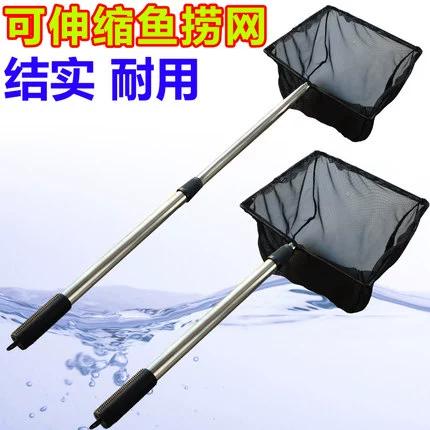 锦鲤网游戏截图