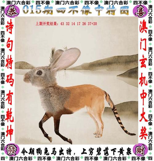大赢家4949游戏截图