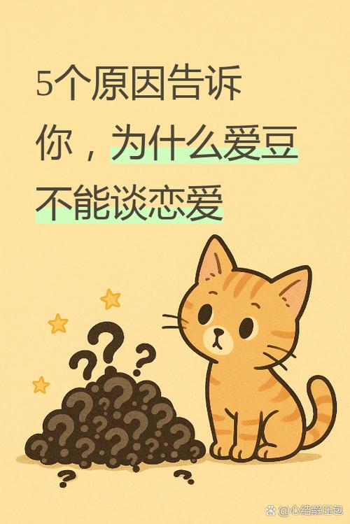 我的爱豆和我爱豆的爱豆缩略图