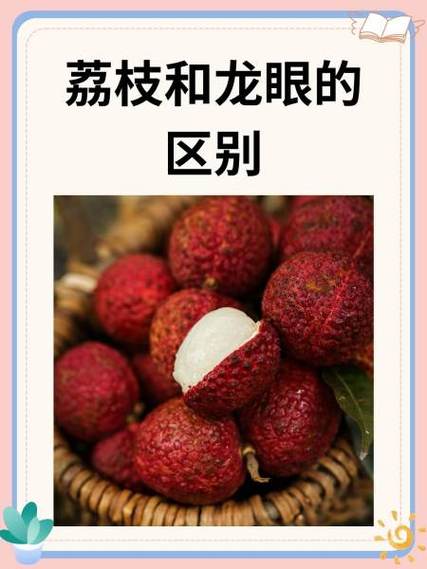 龙眼影评app官方下载入口缩略图