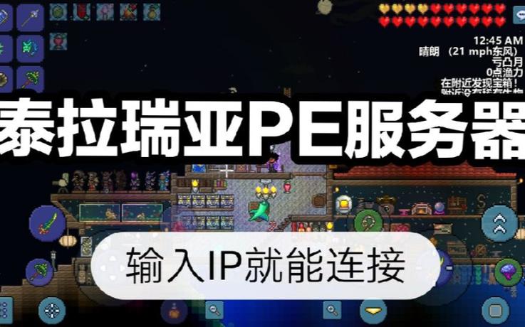 泰拉瑞亚联机一直发现服务器缩略图