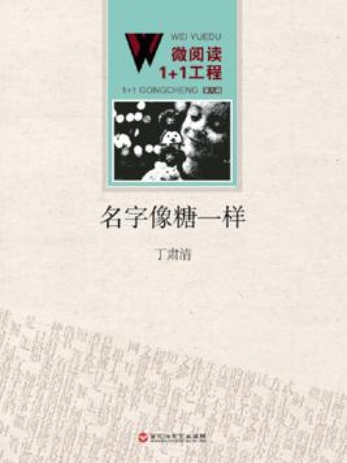 名字叫糖的小说