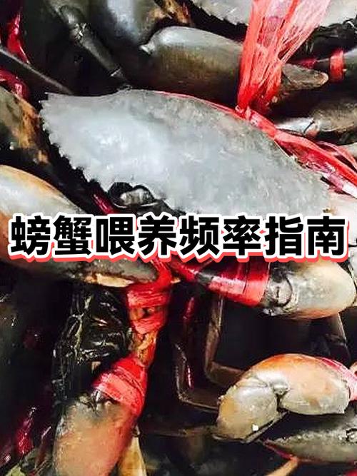 猫咪能吃蟹腿肉吗