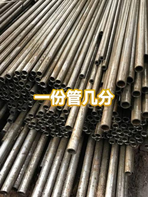 科学计算器为什么结果是分数