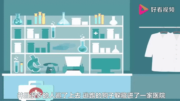 iq题目大全及答案经典缩略图