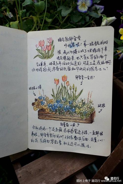 怎么在手机上做手账