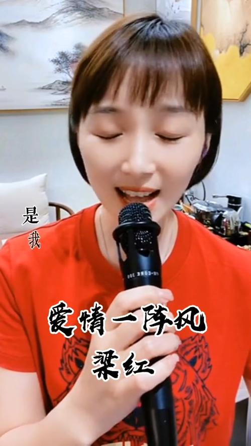 梁红全部歌曲