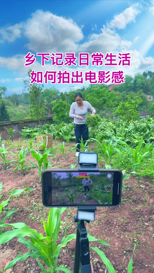 我的乡村生活冷狐版攻略缩略图