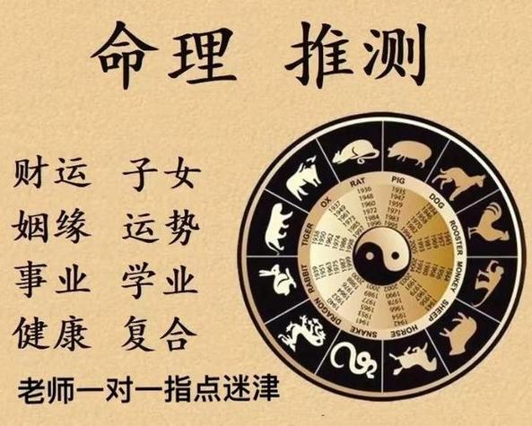 测测app八字