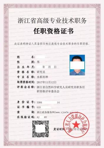 高级工程师电子证书下载游戏截图
