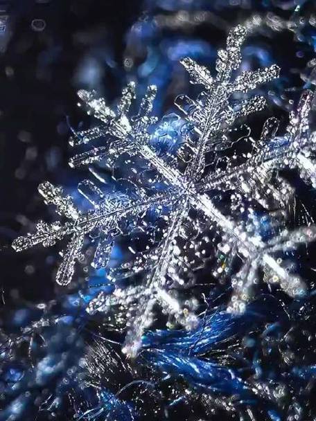 手机摄像有雪花是怎么了