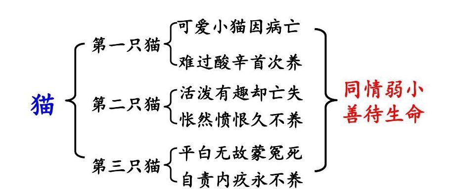 《猫》的课堂笔记缩略图