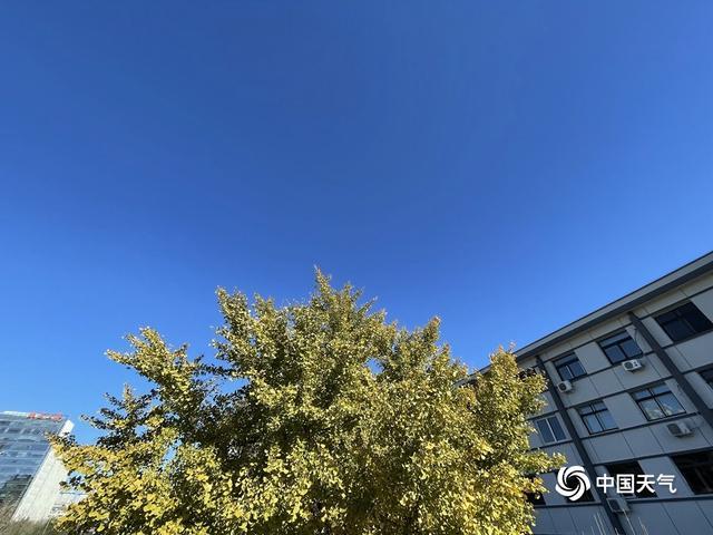 手机天气无广告纯净版缩略图