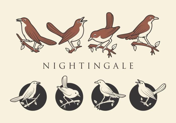 nightingale的象征意义缩略图