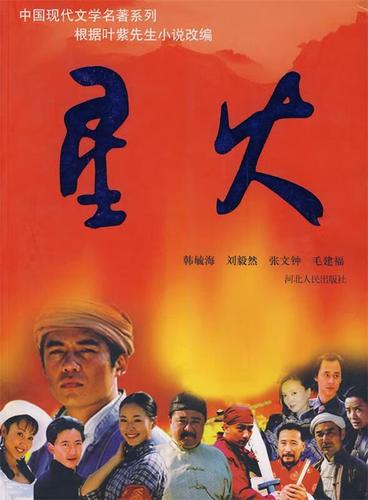 星星之火小说免费阅读缩略图