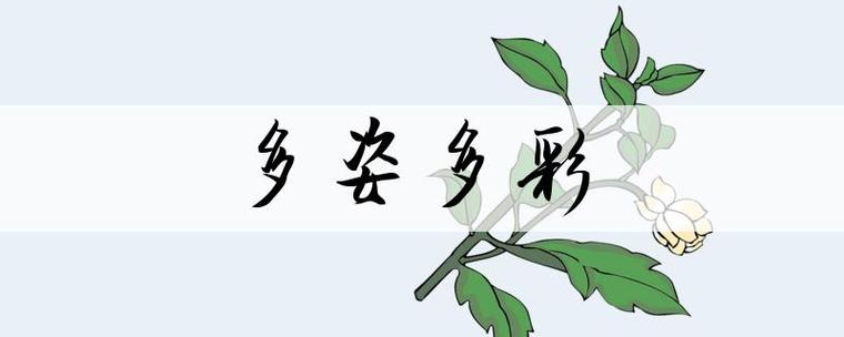 七彩斑斓是成语吗?