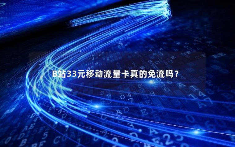 哔哩哔哩33卡免流图标