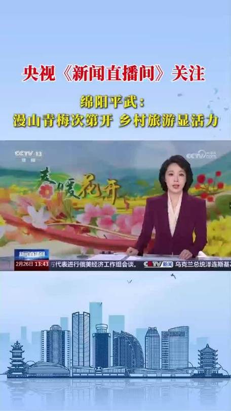 绵阳新闻频道直播游戏截图