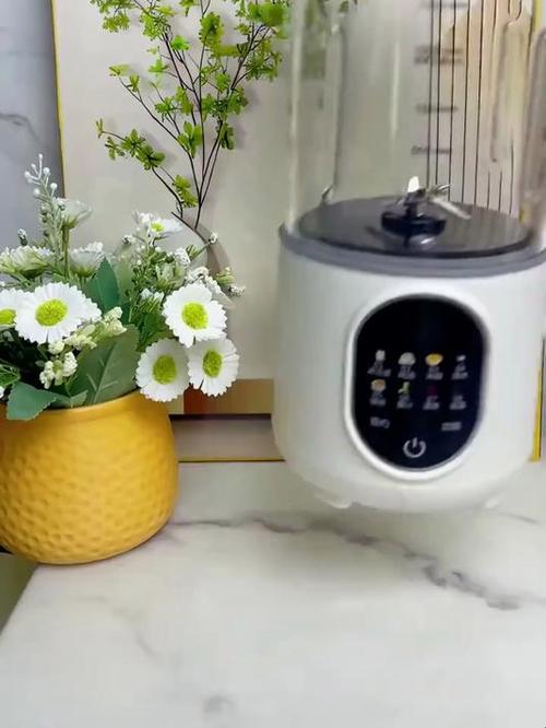 申花豆浆机使用视频缩略图