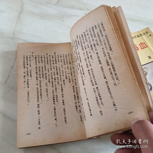 腾龙精品小说缩略图